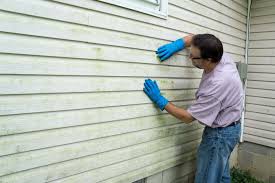 Affordable Siding Repair and Maintenance Services in Cairo, IL